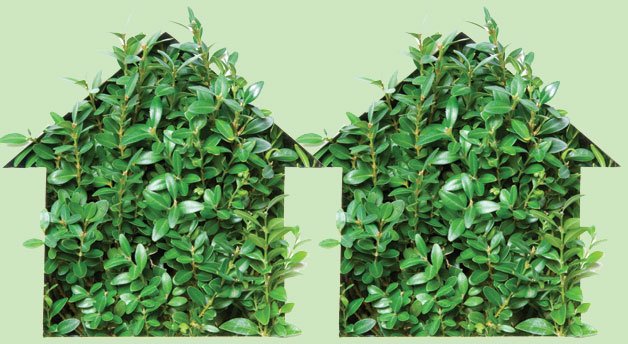 Building insulation - Green building