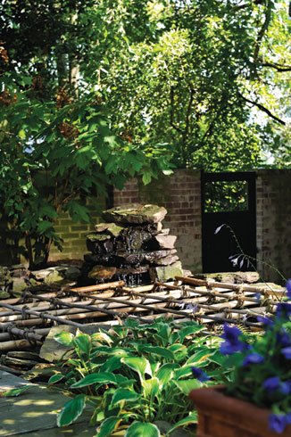 Koi pond - Pond