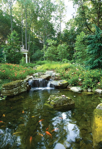 Koi pond - Water garden