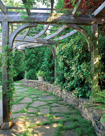Pergola - Landscape