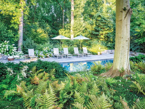 Landscape design - Garden