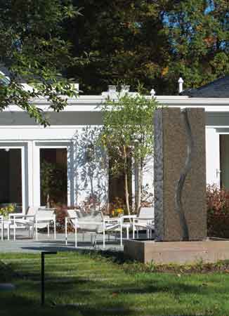Backyard - House