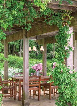 Pergola - Garden