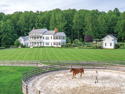 Horse - Farm