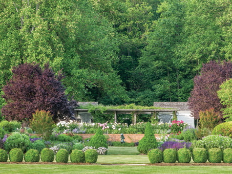 Landscape - Garden