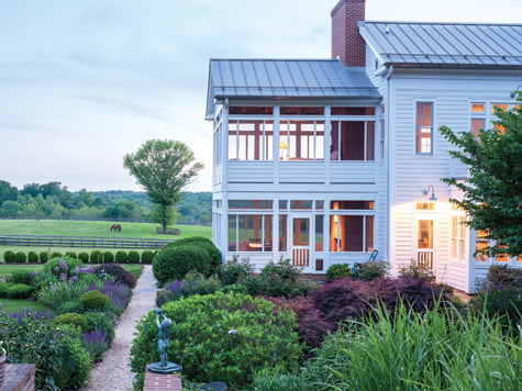 Backyard - Yard