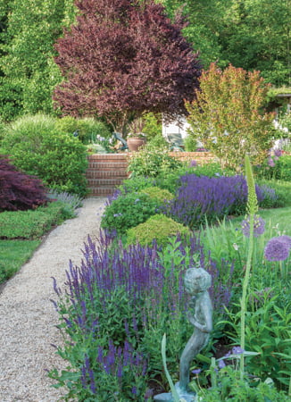 Garden - Shrub