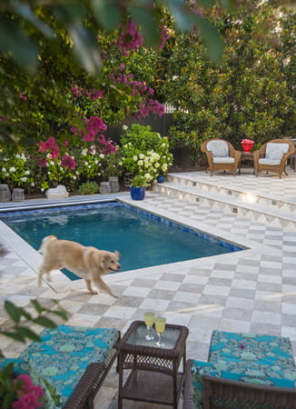 Swimming pool - Gardenwise Inc.