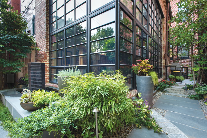 Garden - Yard