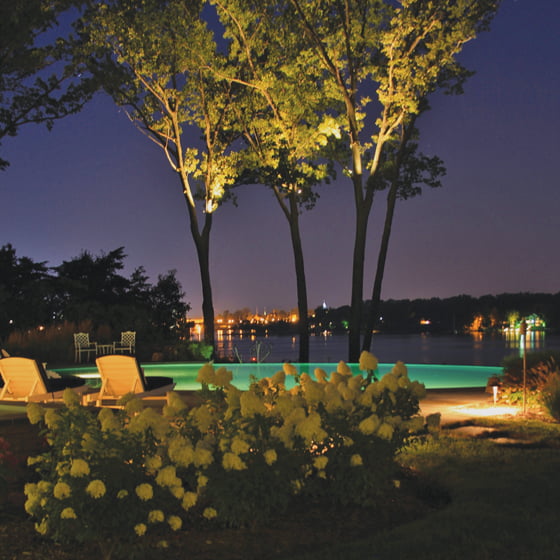 Landscape lighting - Leaf