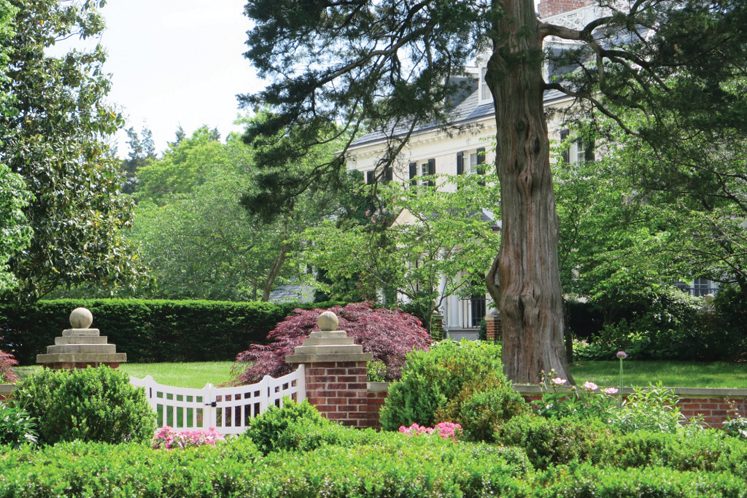 Lawn - Garden