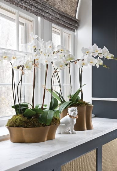 Floral design - Flowerpot