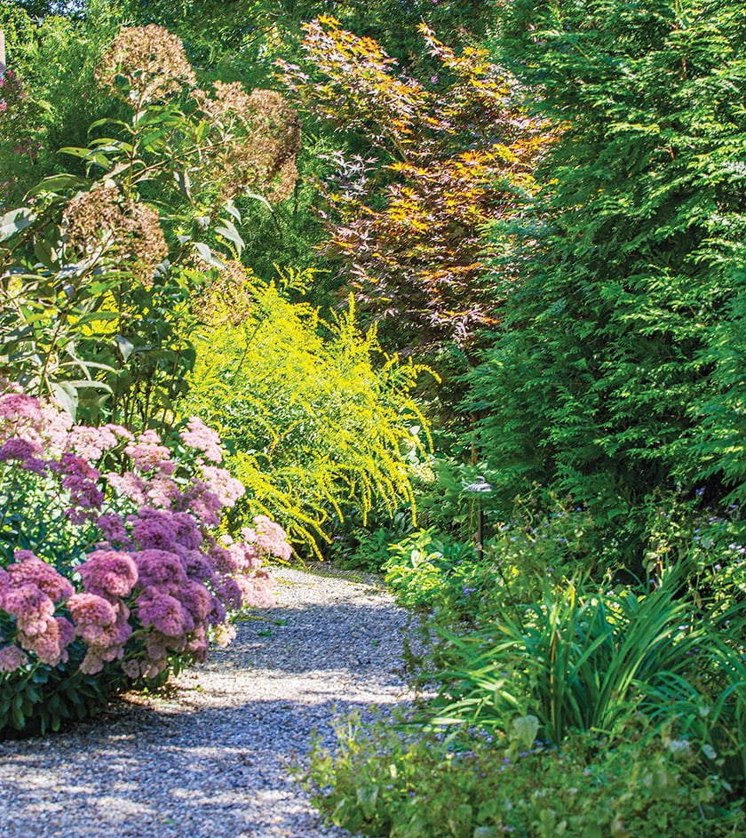 natural-path-with-perennials