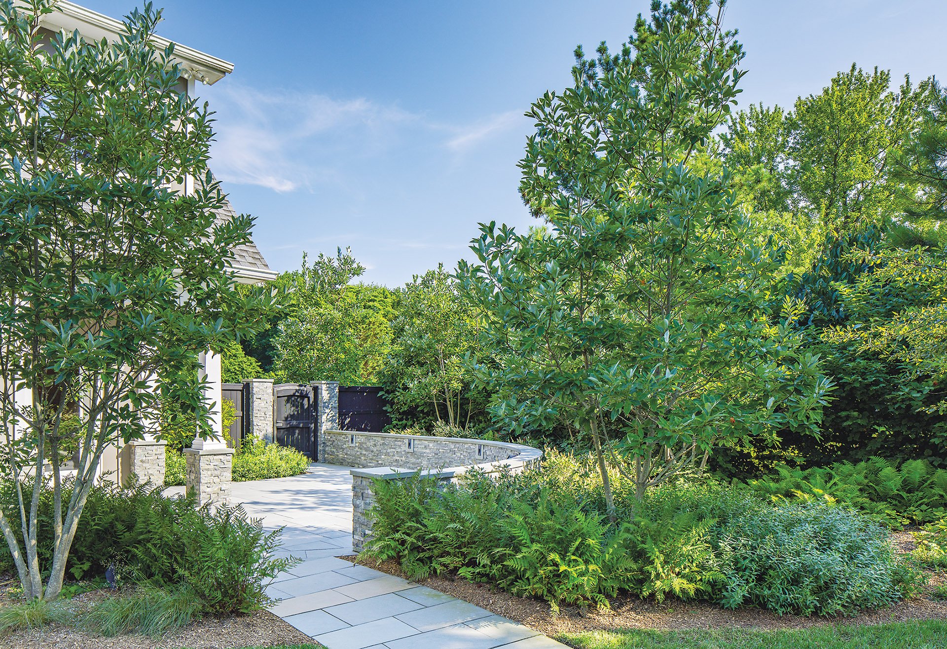 Southern bayberry between pergola and guest house/garage