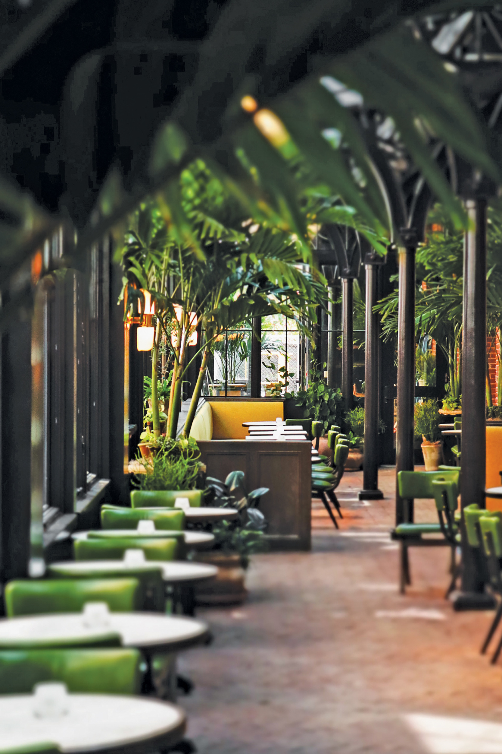 Plant-filled Solarium at the restaurant | Home and Design Magazine